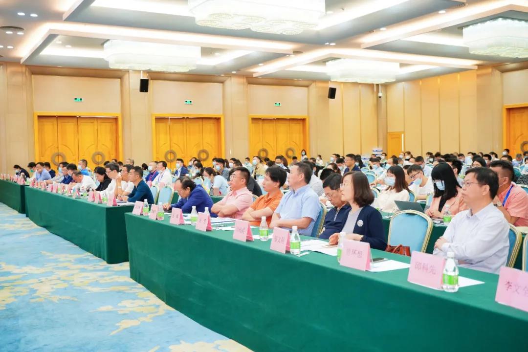 333���� - ��̬�ȵ������Ż�