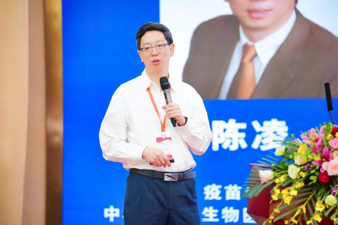 333���� - ��̬�ȵ������Ż�