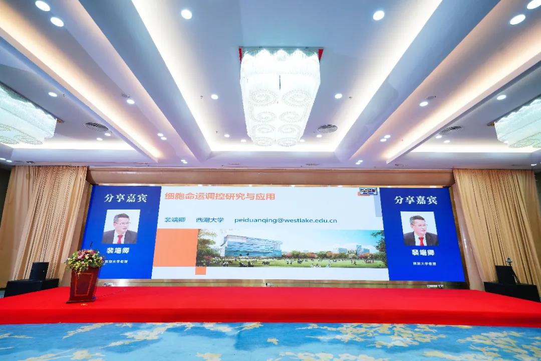 333���� - ��̬�ȵ������Ż�