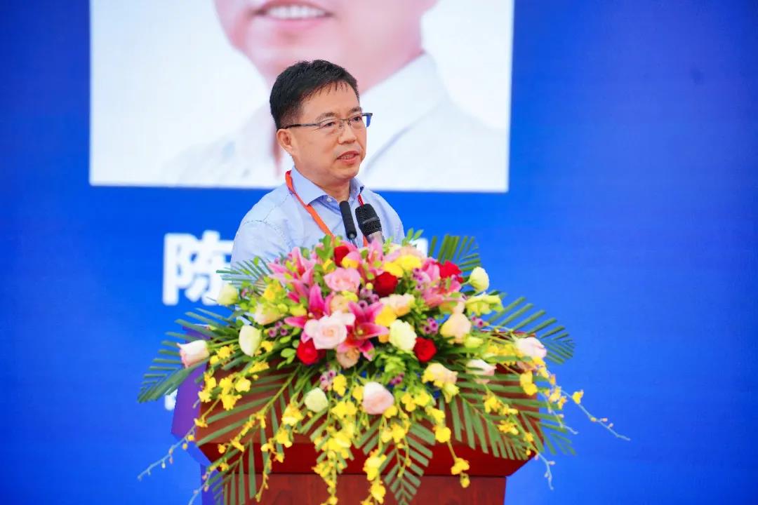 333���� - ��̬�ȵ������Ż�