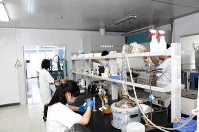 333���� - ��̬�ȵ������Ż�