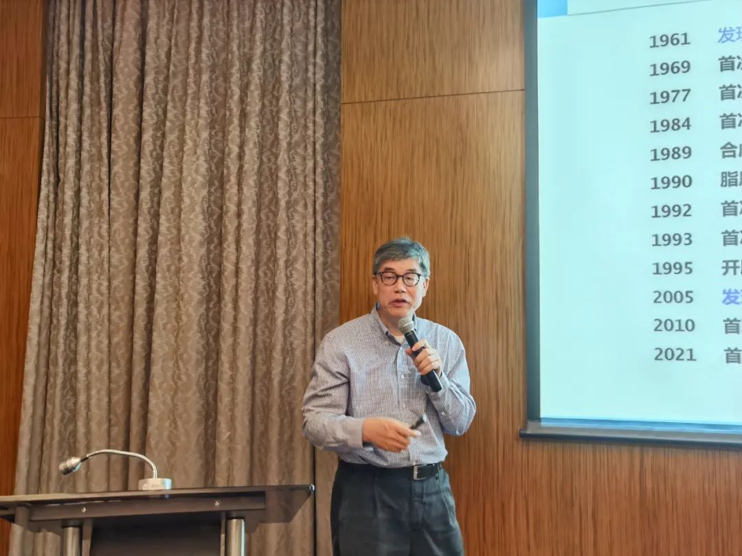 333���� - ��̬�ȵ������Ż�