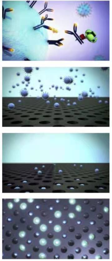 333ÌåÓý - ÓÐ̬¶ÈµÄÌåÓýÃÅ»§