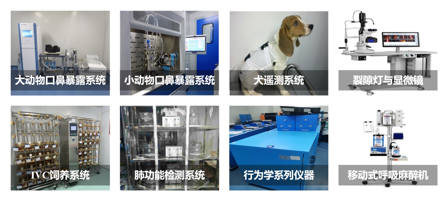 333���� - ��̬�ȵ������Ż�