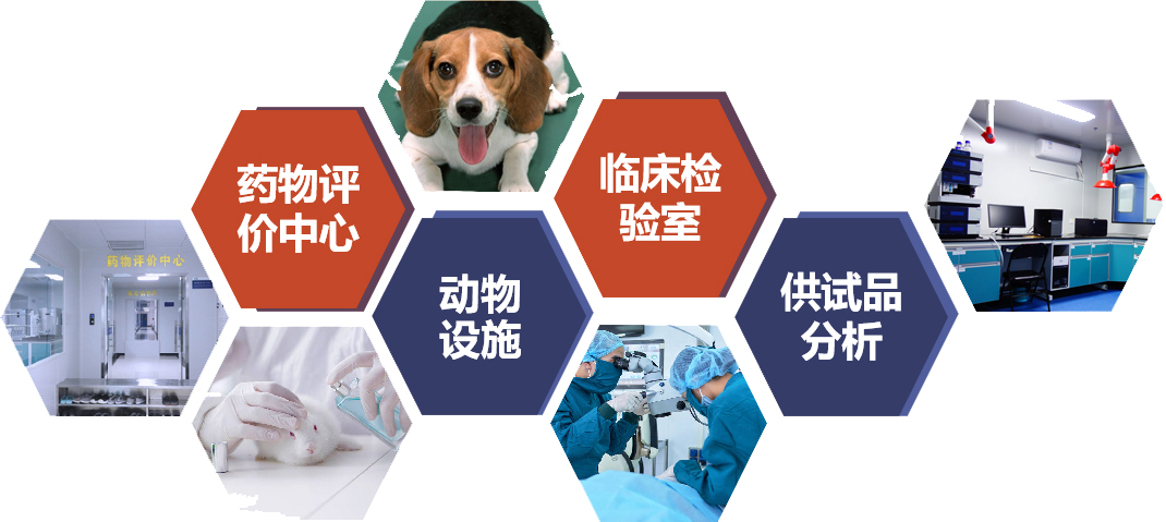 333���� - ��̬�ȵ������Ż�