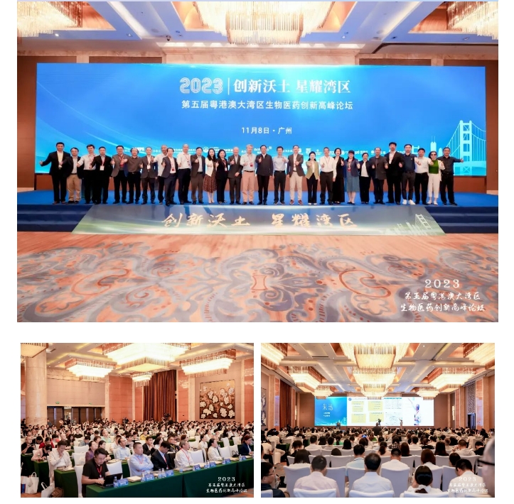 333���� - ��̬�ȵ������Ż�