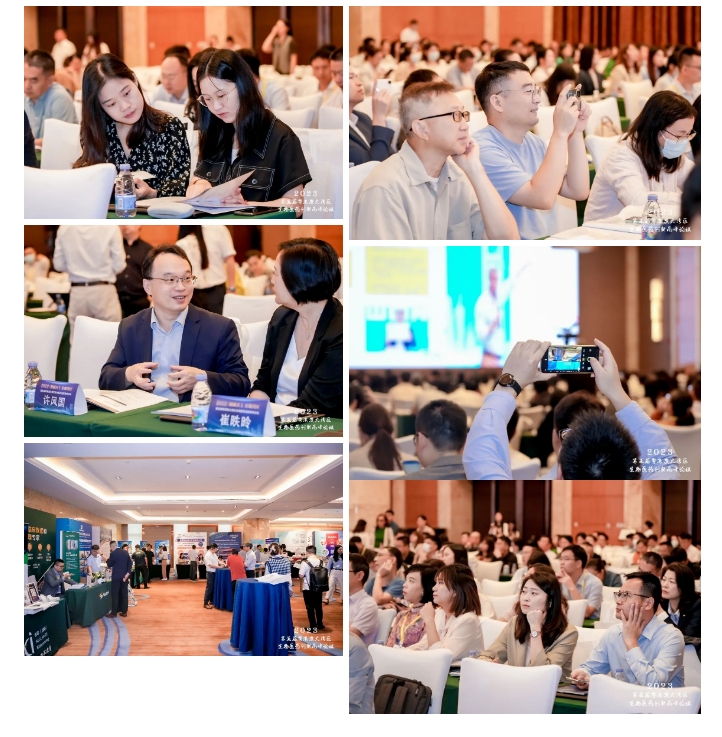 333���� - ��̬�ȵ������Ż�