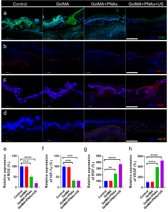 333���� - ��̬�ȵ������Ż�
