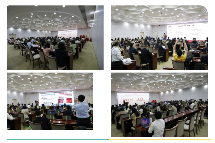 333���� - ��̬�ȵ������Ż�