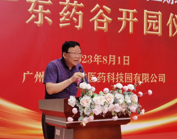 333���� - ��̬�ȵ������Ż�