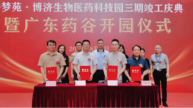 333���� - ��̬�ȵ������Ż�