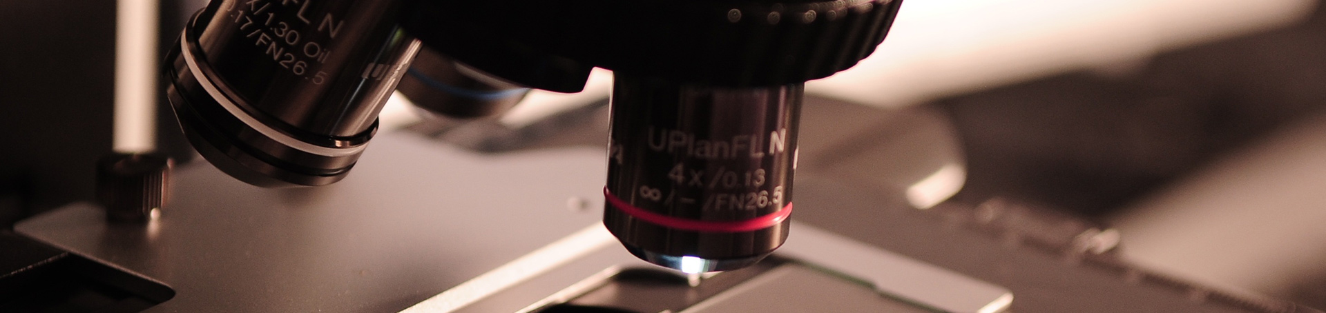 333���� - ��̬�ȵ������Ż�