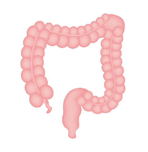 ����С�޼��������ζ��