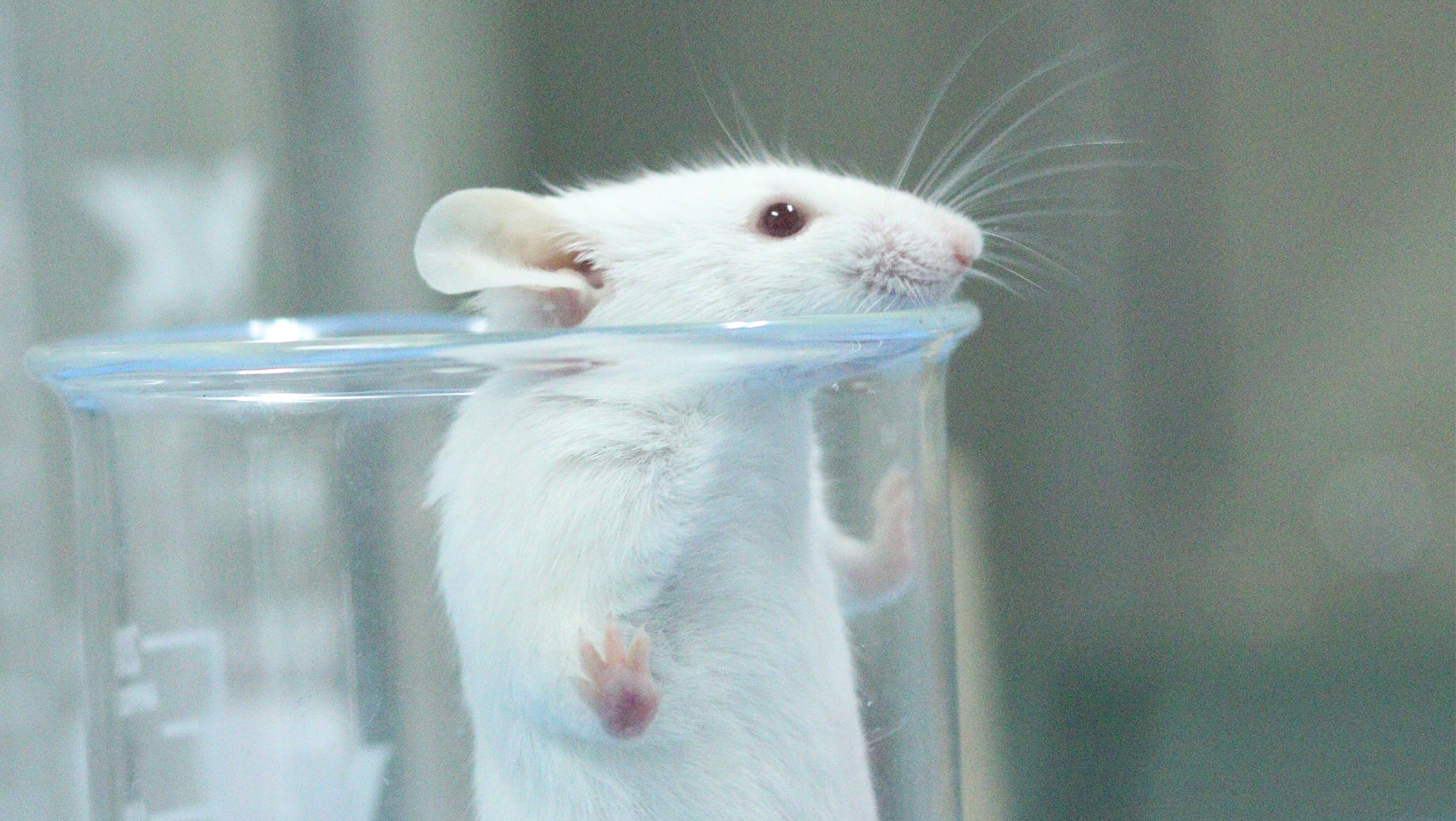 ����ϵͳ����ģ��