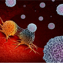 һ������ҩ������Ԥ����Ƭ��ҩ��������HIVѬȾ��������III�������������