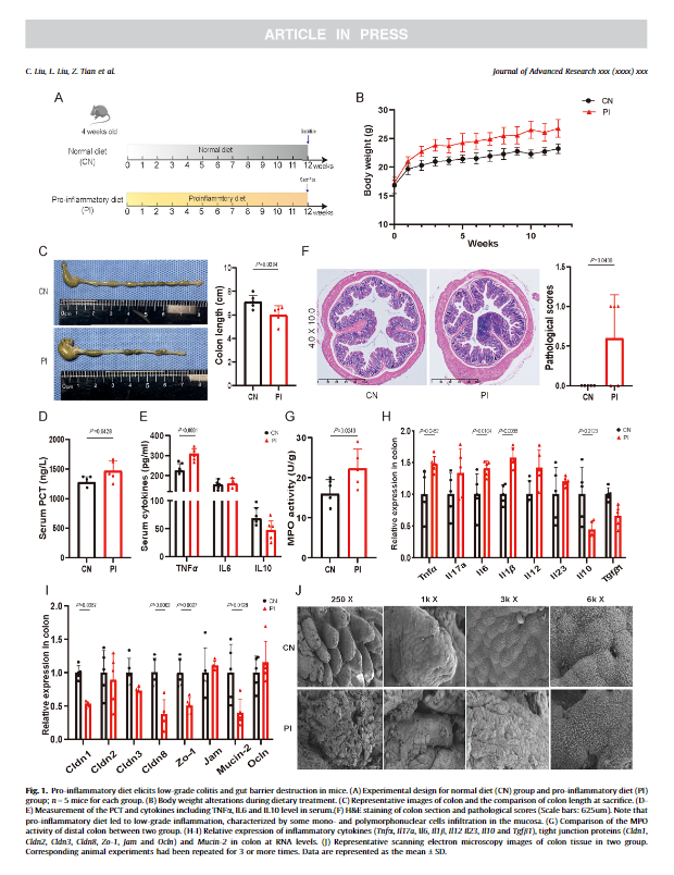 333���� - ��̬�ȵ������Ż�
