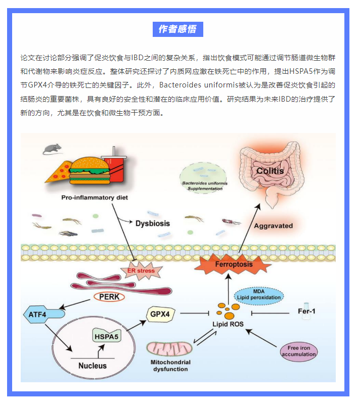 333���� - ��̬�ȵ������Ż�
