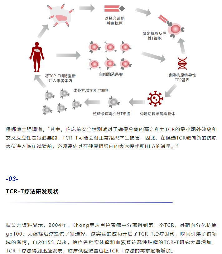 333���� - ��̬�ȵ������Ż�
