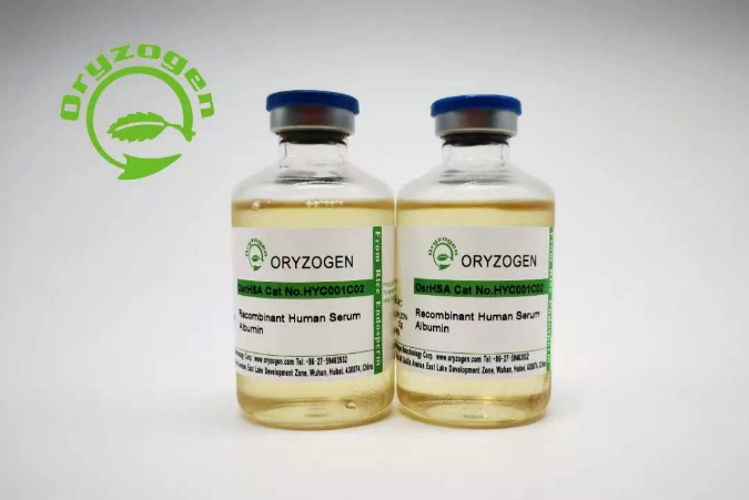 333���� - ��̬�ȵ������Ż�