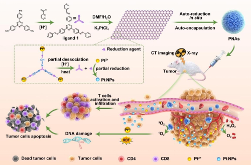 333���� - ��̬�ȵ������Ż�