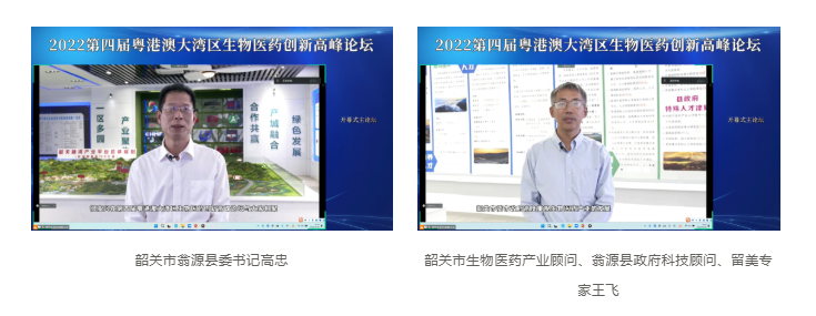 333���� - ��̬�ȵ������Ż�