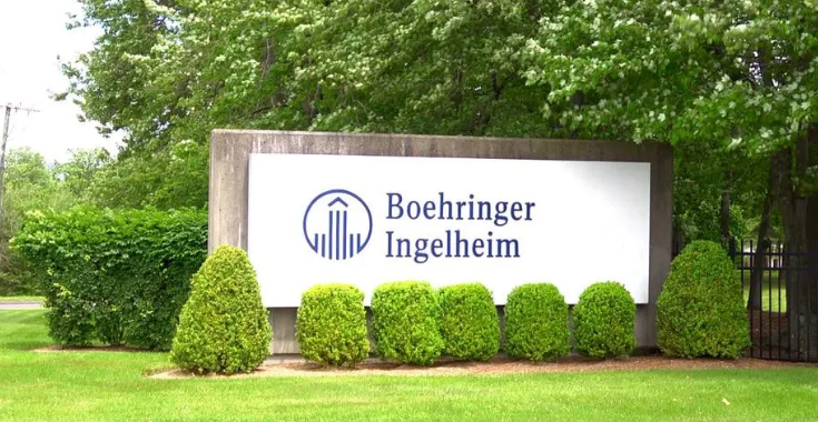 333���� - ��̬�ȵ������Ż�