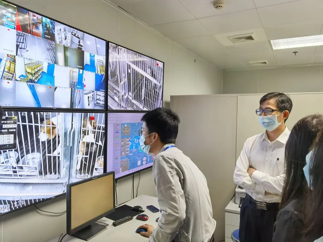 333���� - ��̬�ȵ������Ż�